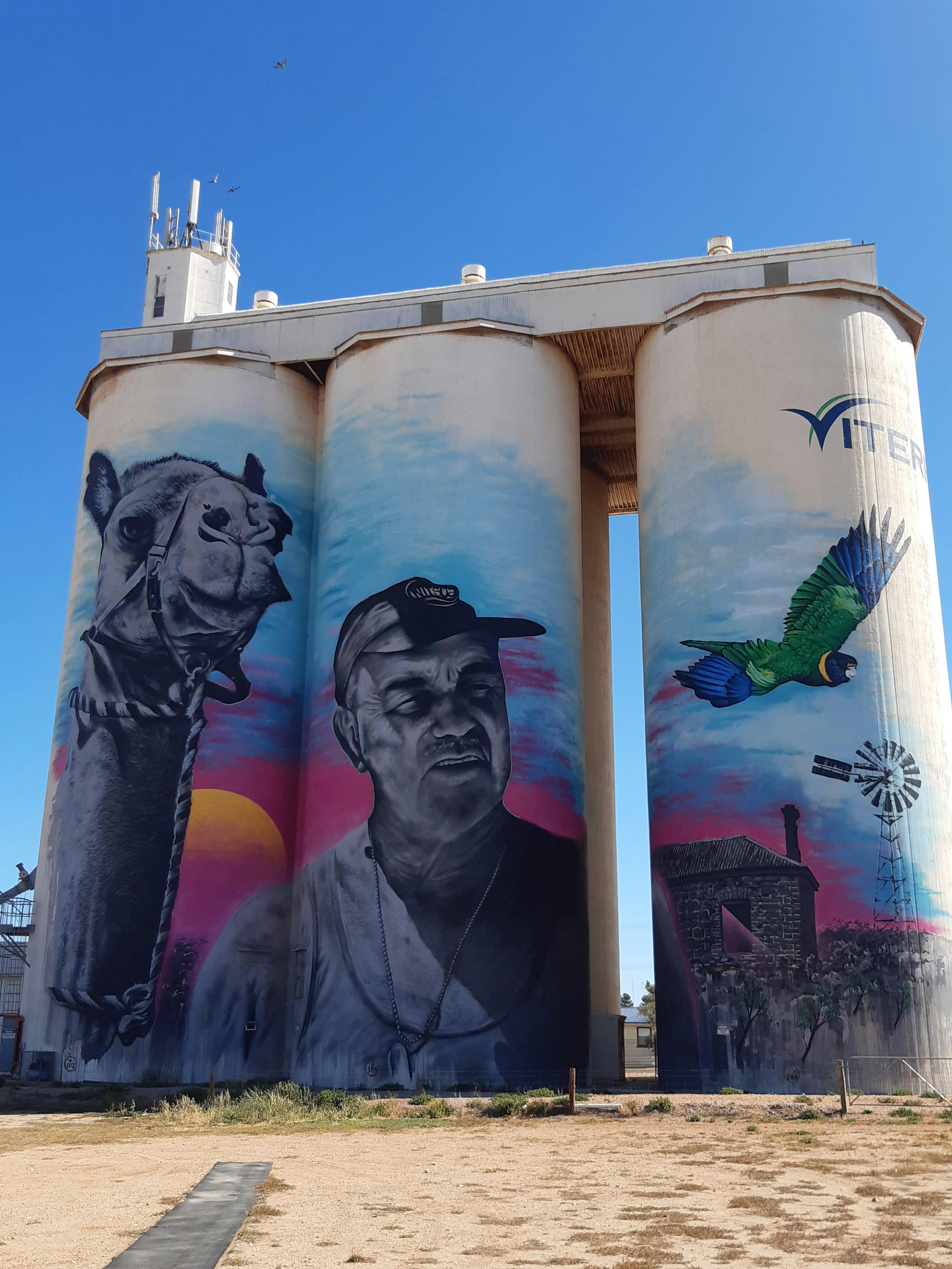 The artwork is of Lionel Deer and his camel as well as a Port Lincoln or Ring Necked Parrot