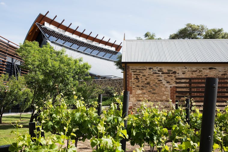 Ultimate Adelaide and Hahndorf Day Tour