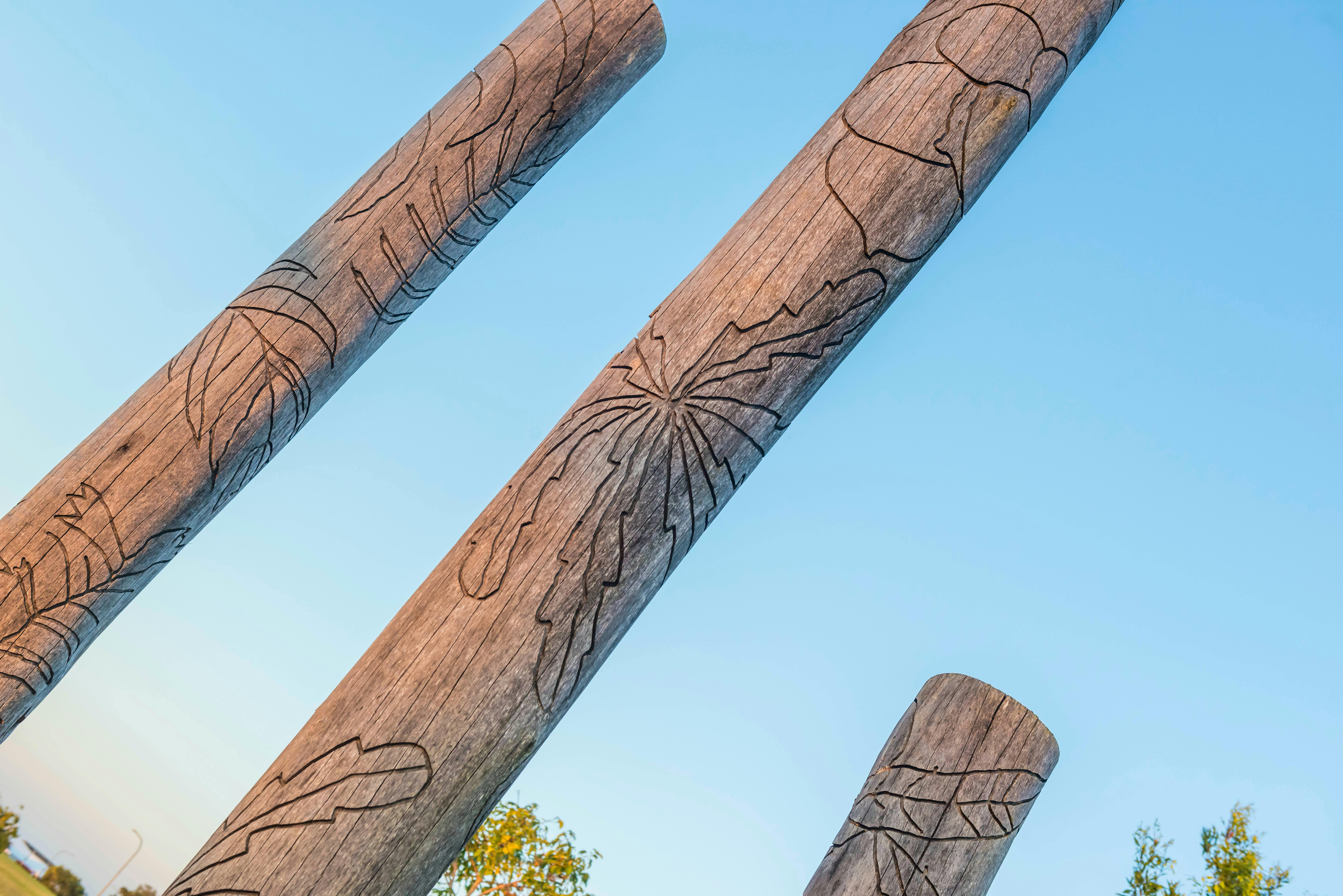 timber poles