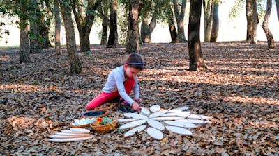 A young girl plays with wooden mandala shapes on a leafy forest floor