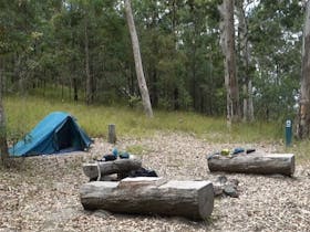 A tent and campfire area in Middle Kobble Creek Camping