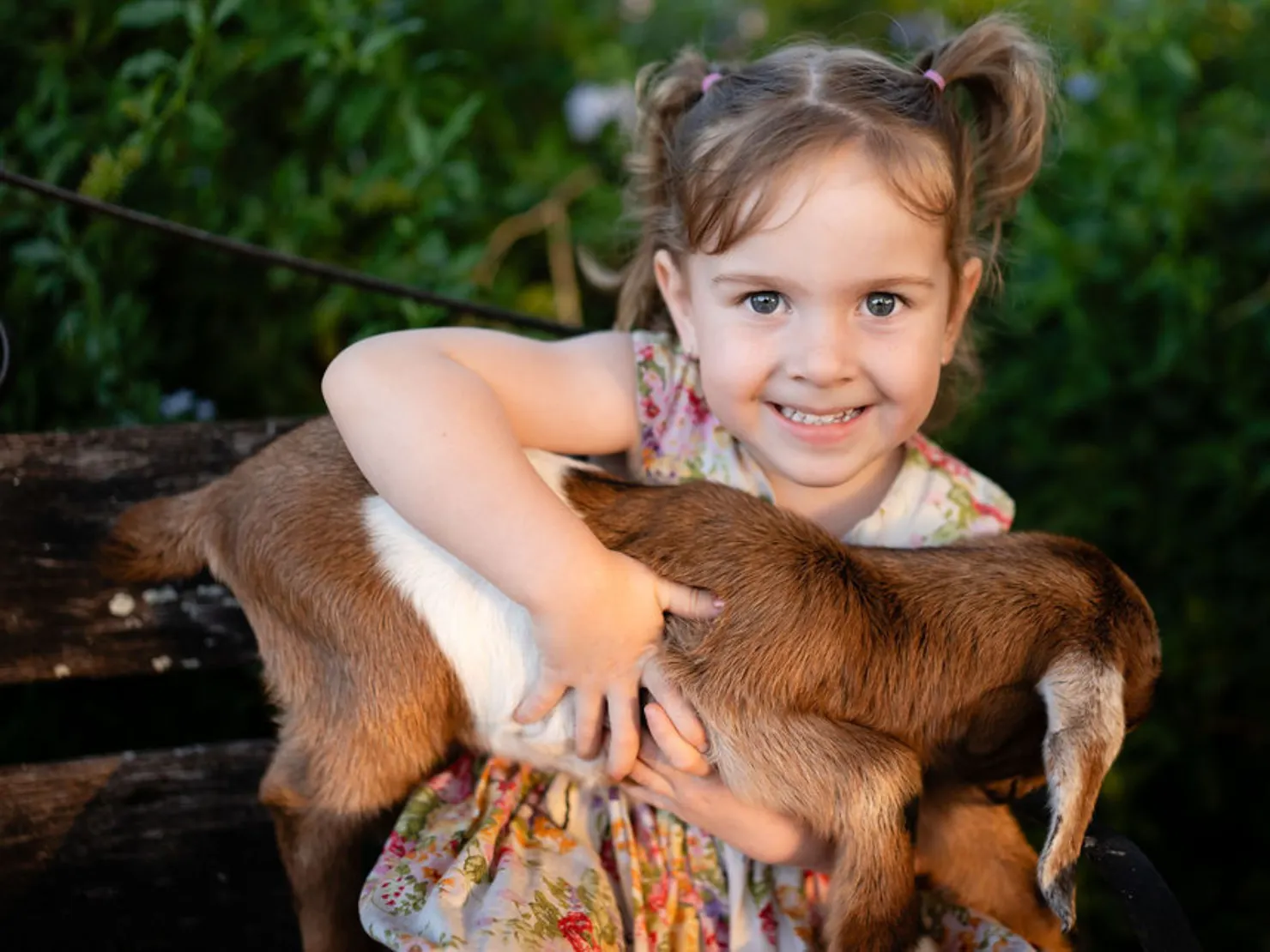 Little girl with cute baby goat