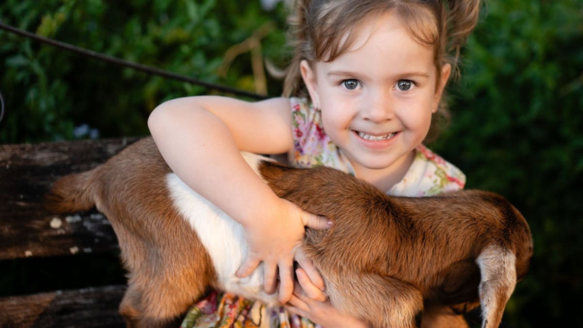 Little girl with cute baby goat