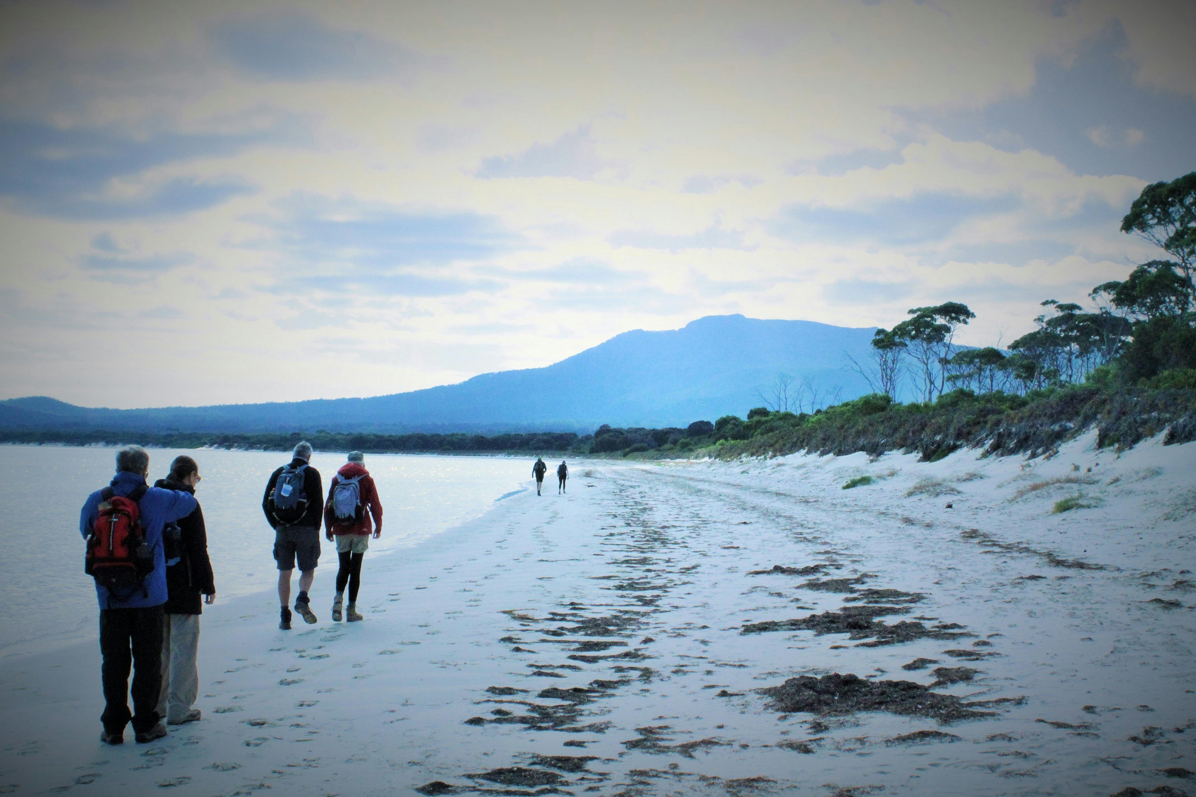 Relaxed Beach Walking on the Maria Island Pack-Free Walk by Life's An Adventure