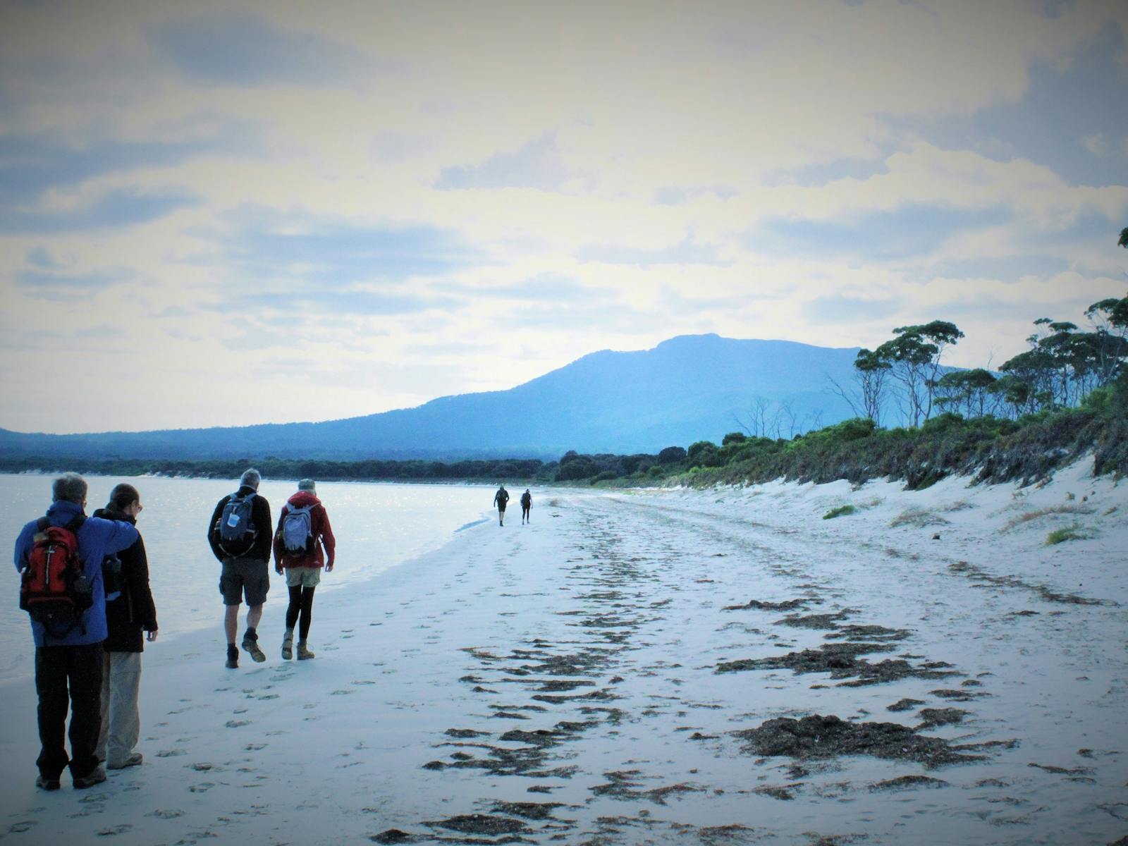 Relaxed Beach Walking on the Maria Island Pack-Free Walk by Life's An Adventure