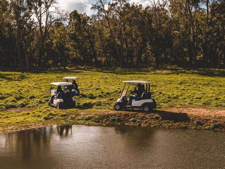 Safari by drone