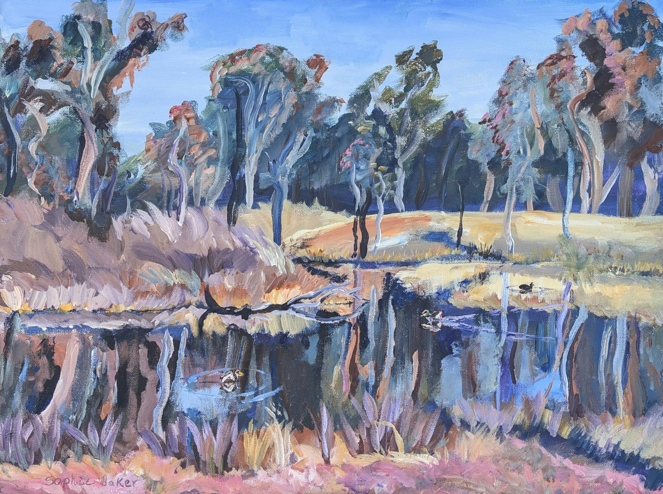 Circumnavigating ‘Bush Capital’ from the (bike) saddle by Sophie Baker