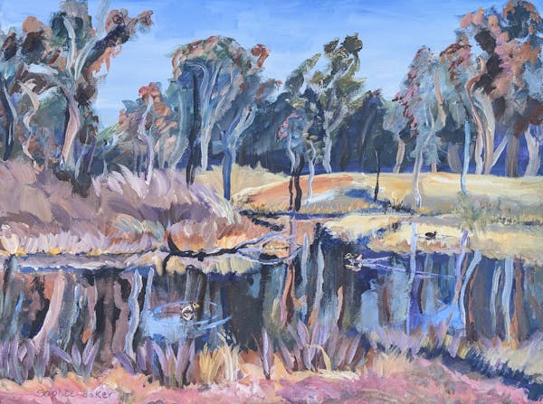 Circumnavigating ‘Bush Capital’ from the (bike) saddle by Sophie Baker