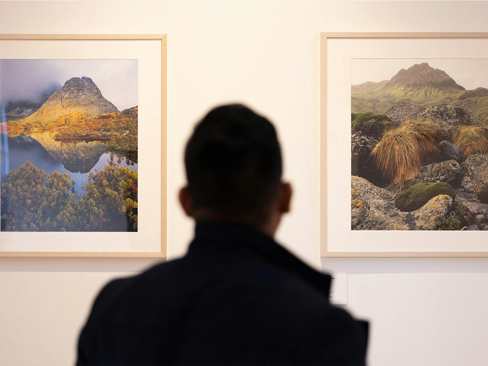 Cradle Mountain Wilderness Gallery