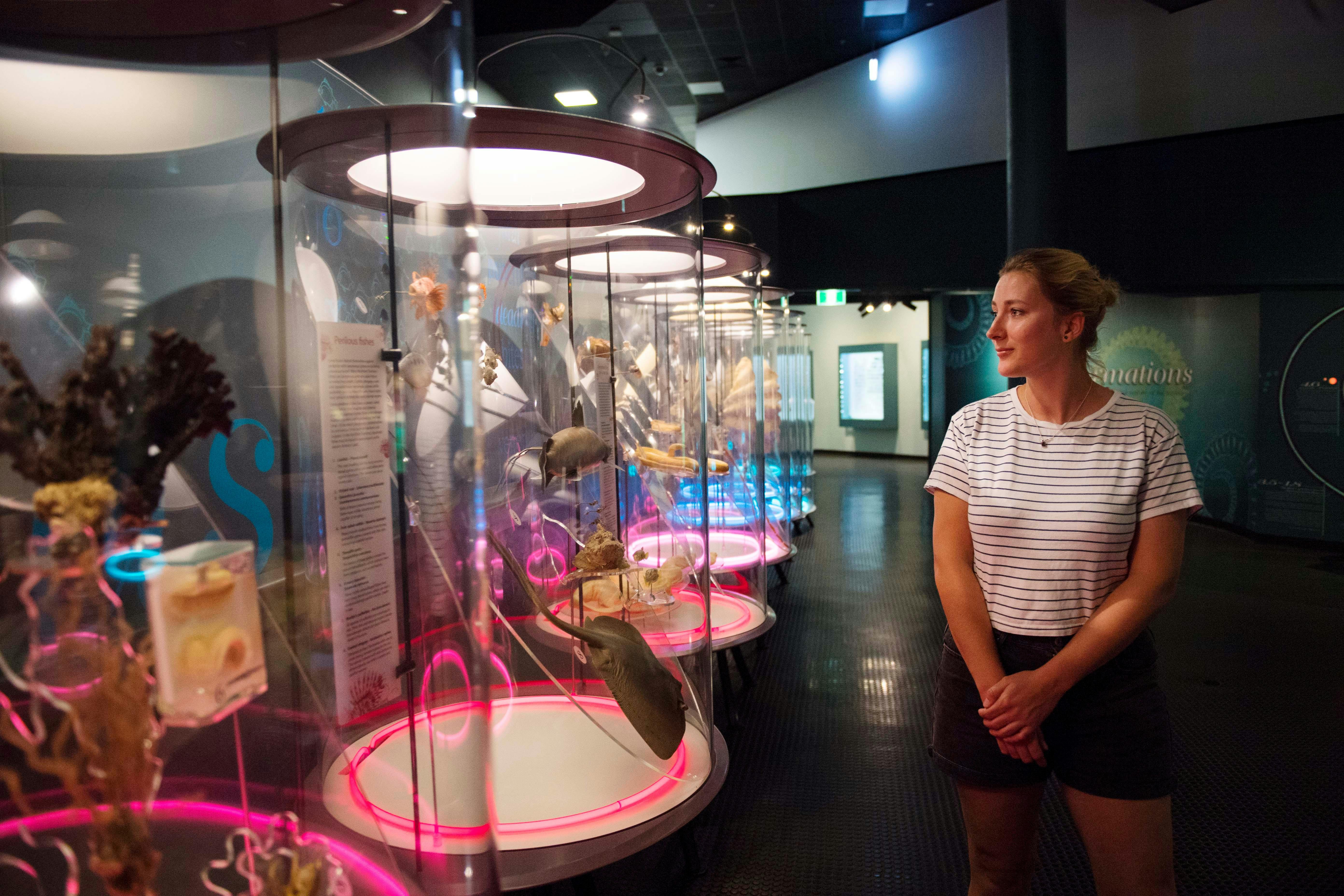 Museum and Art Gallery of the Northern Territory