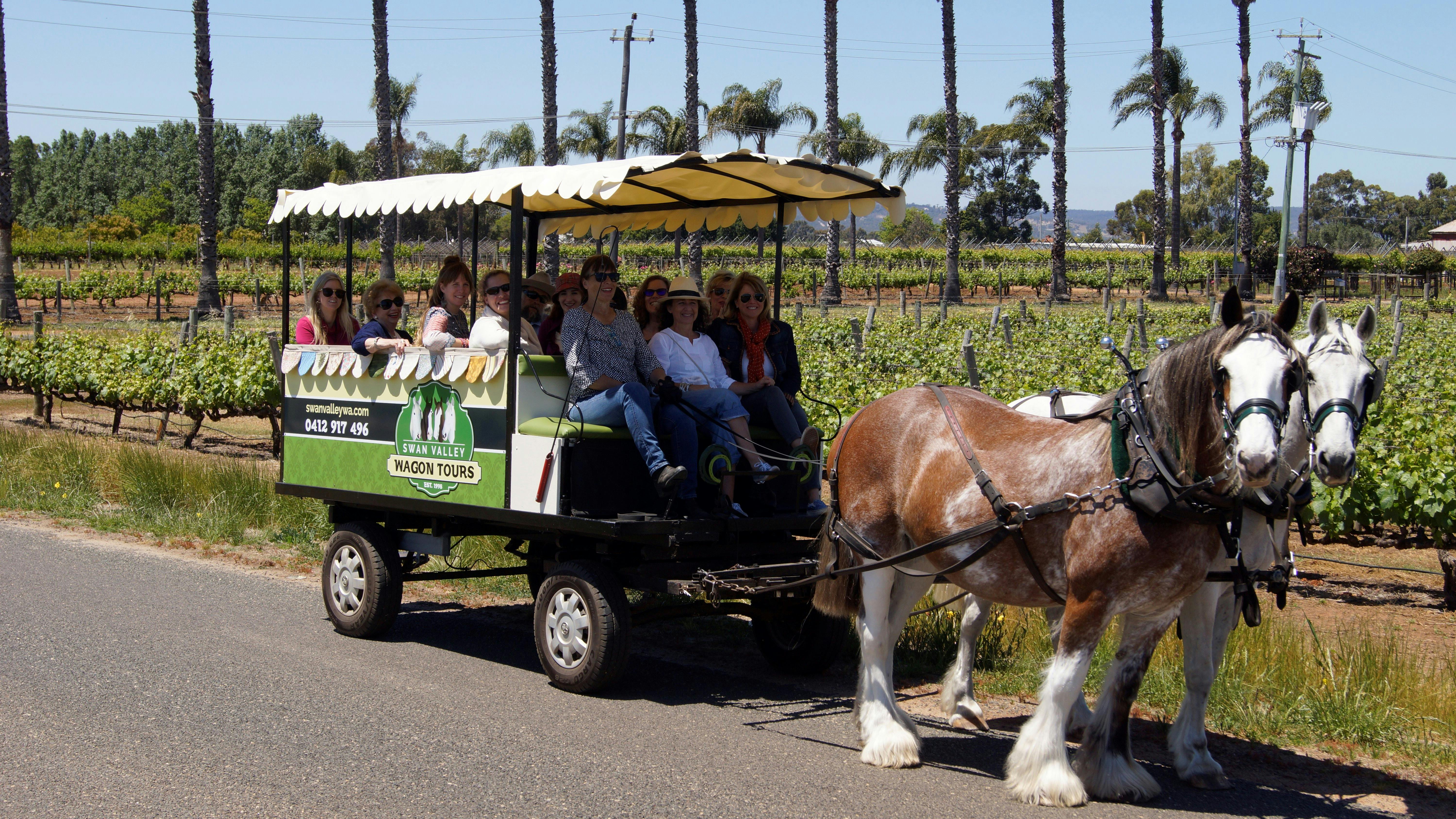 Swan Valley Wagon Tours, West Swan, Western Australia