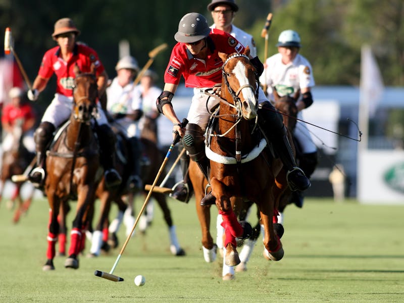 XI FIP World Polo Championship Sydney
