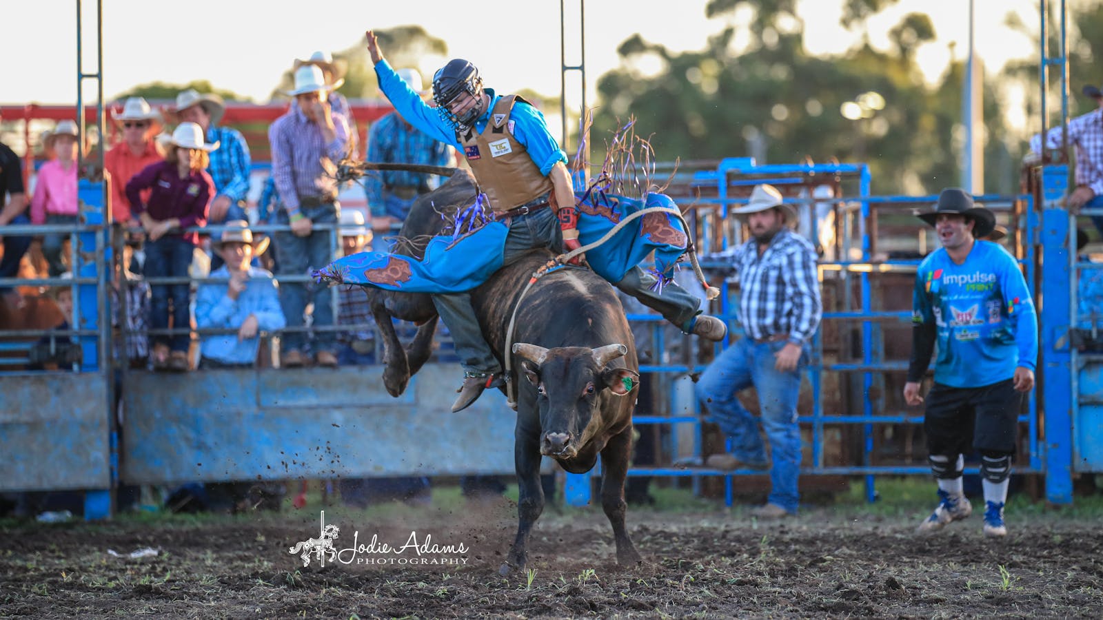 Maitland Rodeo