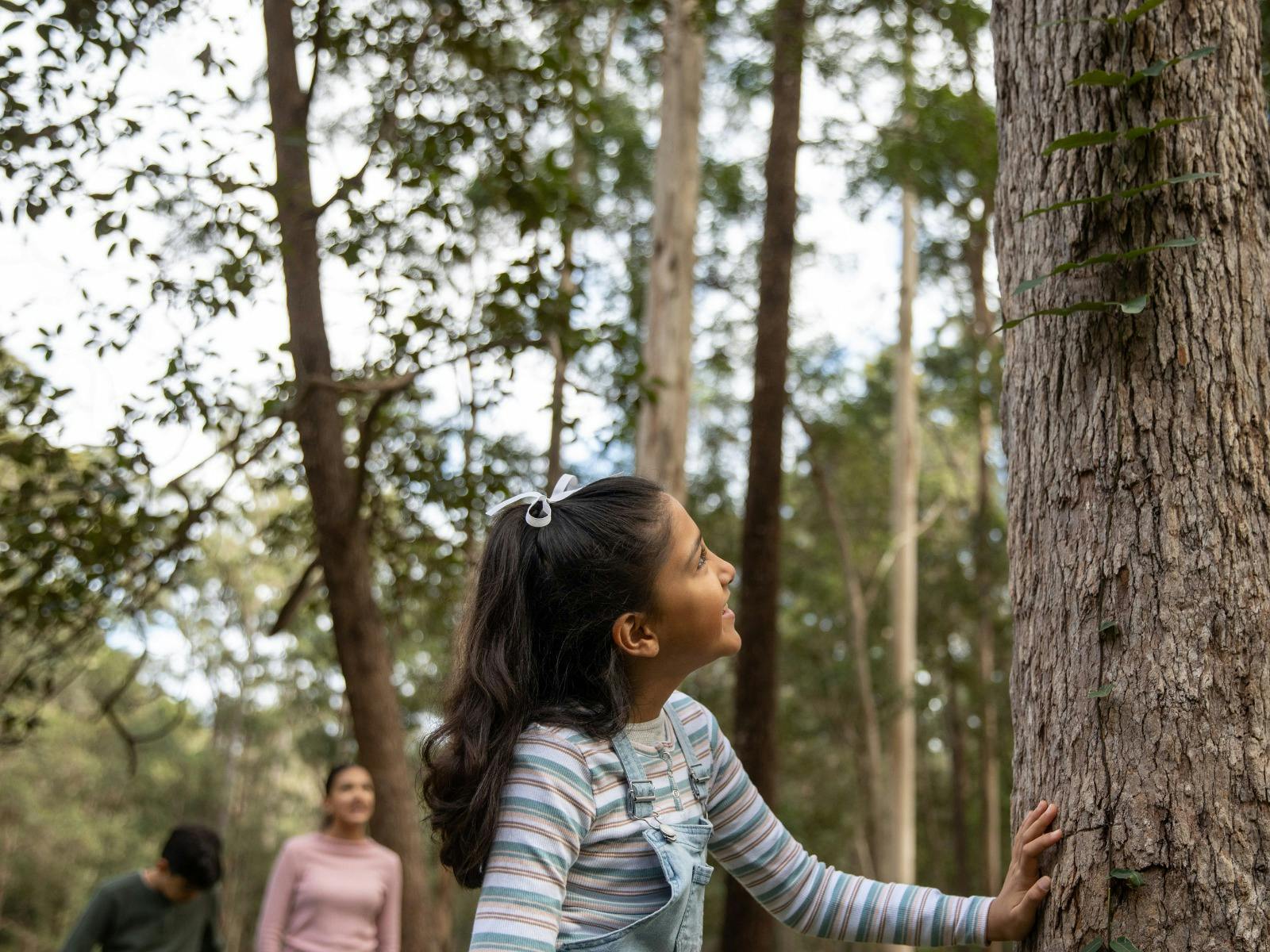 Plunkett Conservation Park & Wickham National Park