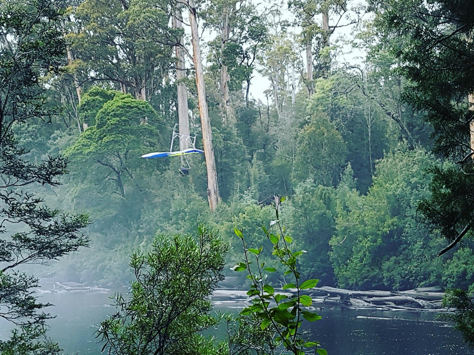 Cable Glider over the Huon River - Tahune