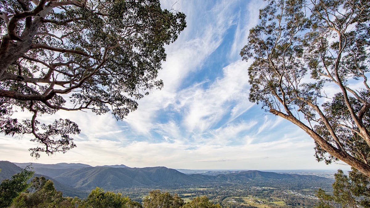 View from Jolly's Lookout through trees and over valley