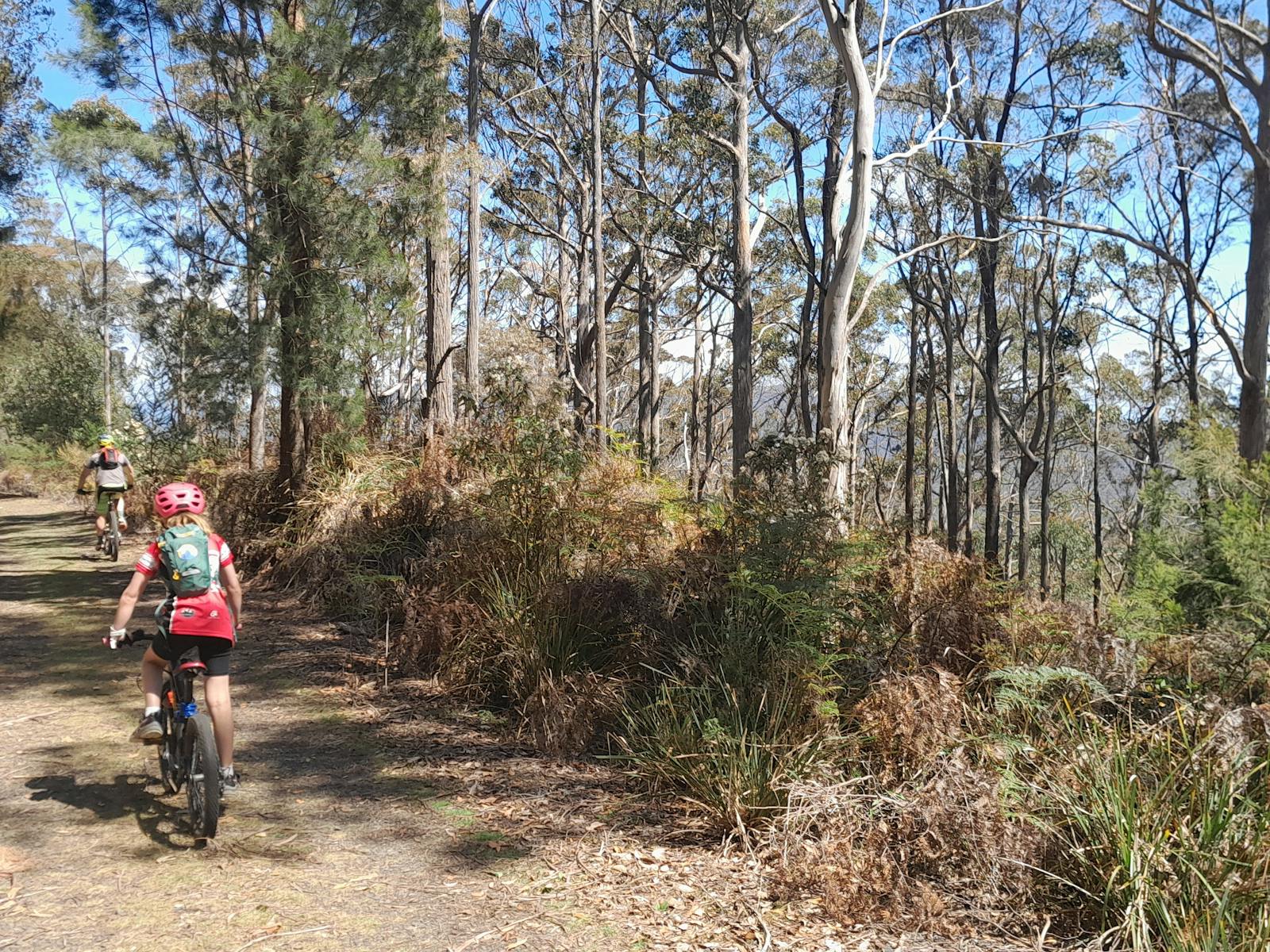 North East Tasmania Rail Trail