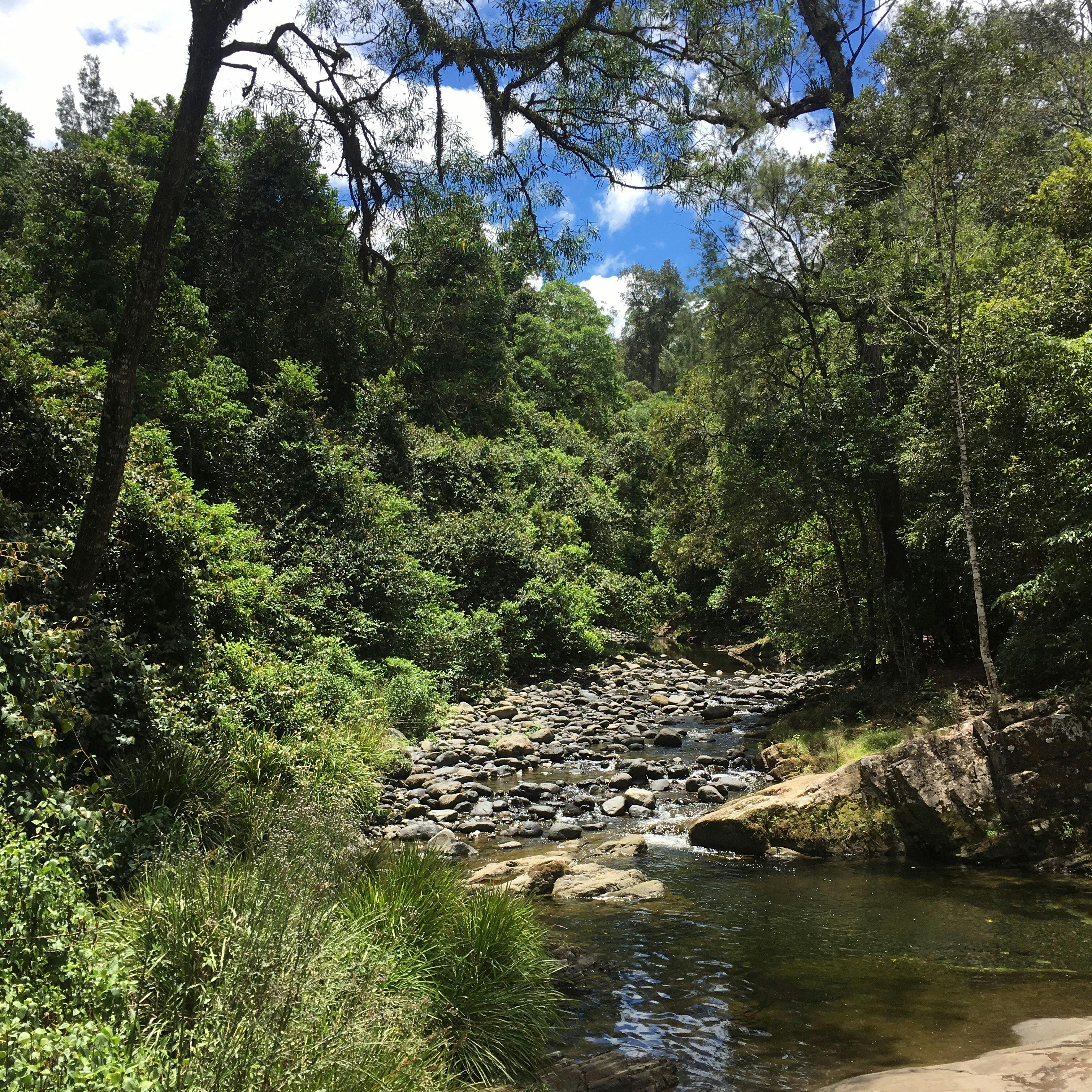 ホワイトロック、チチェスター州有林