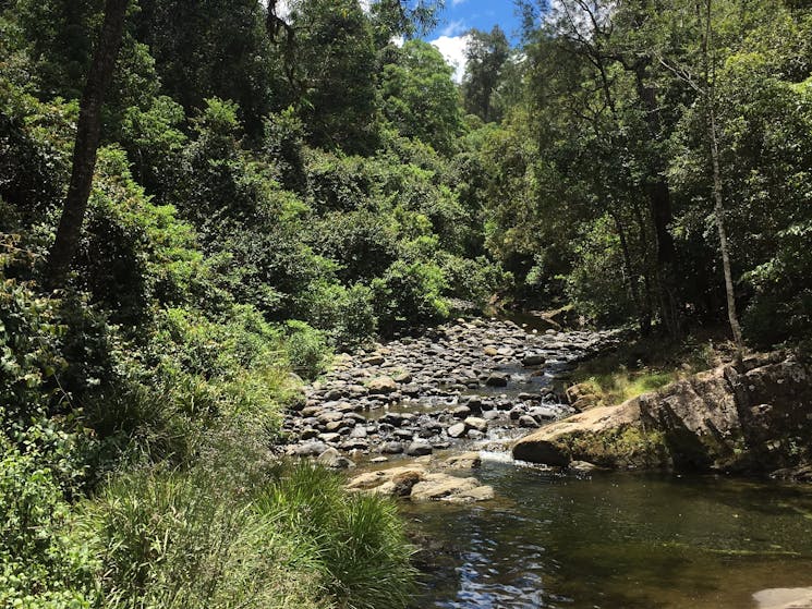 White Rock, Chichester State Forest