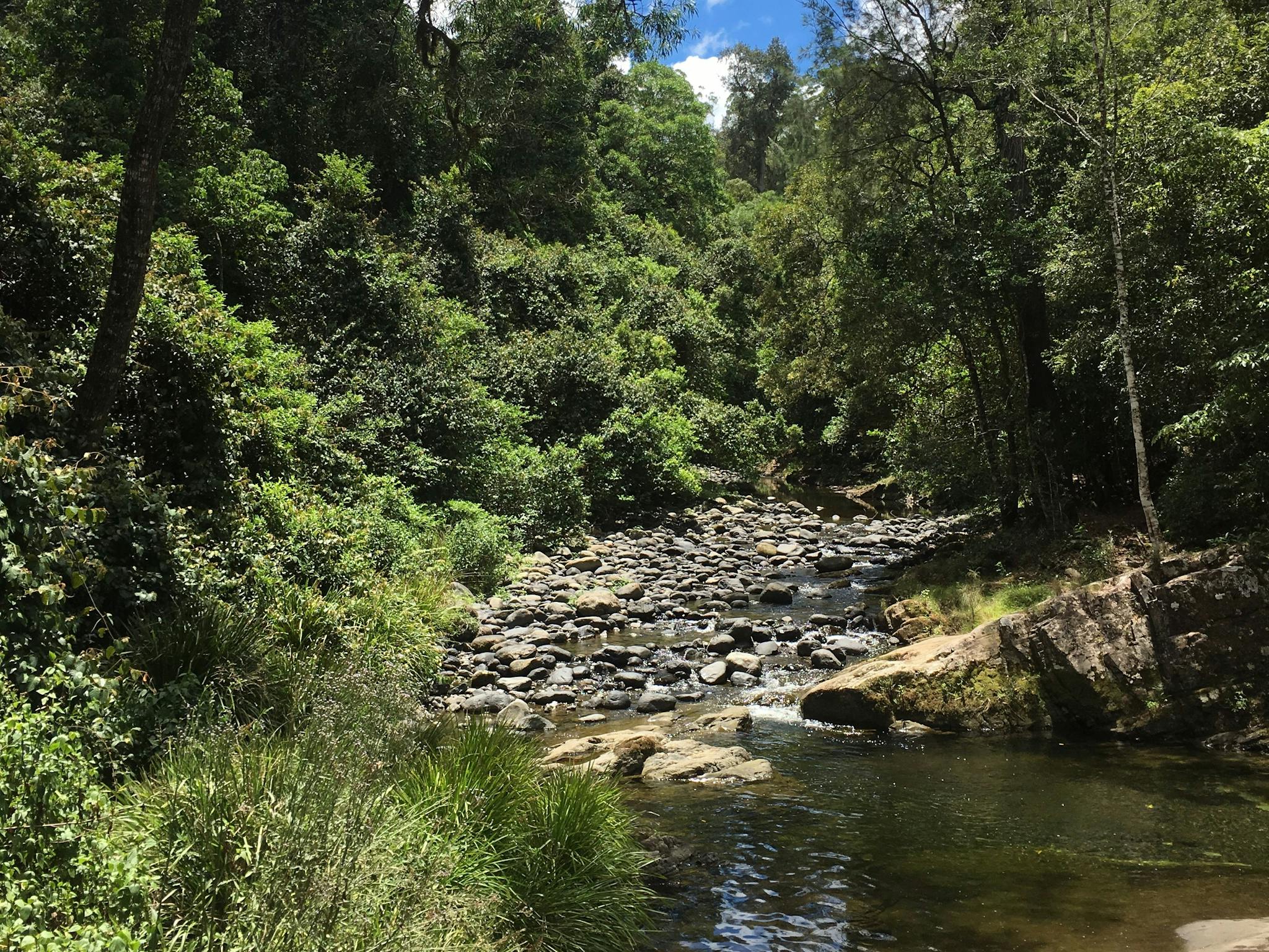 Barrington Tops Activities Nsw Holidays And Accommodation Things To Do