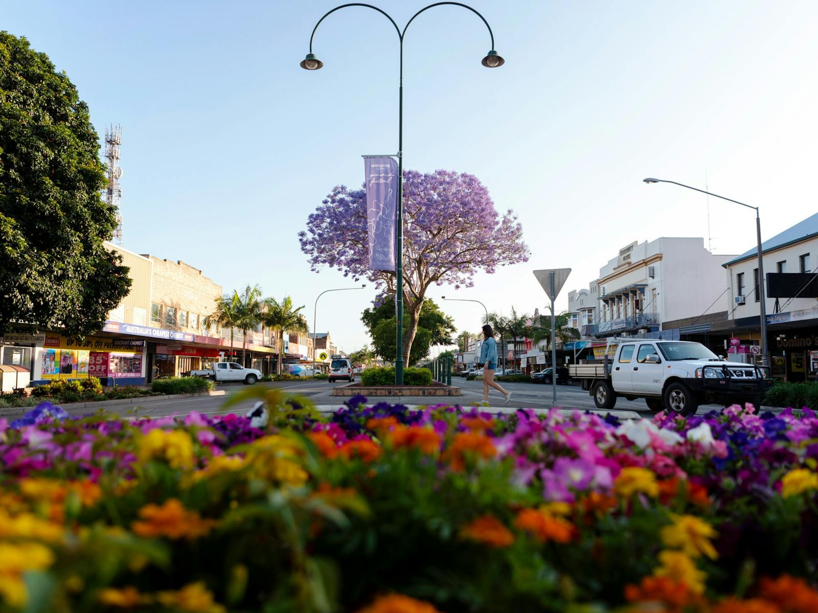 Image for Grafton Art Club's 51st Jacaranda Art Exhibition