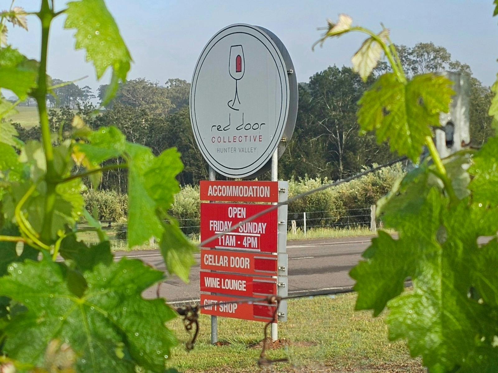 Red door collective image 2