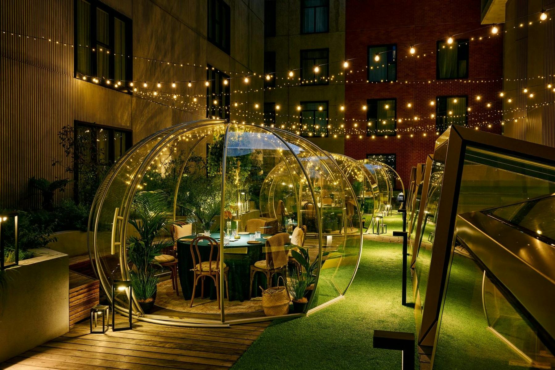 Fern’s Hidden Winter Garden