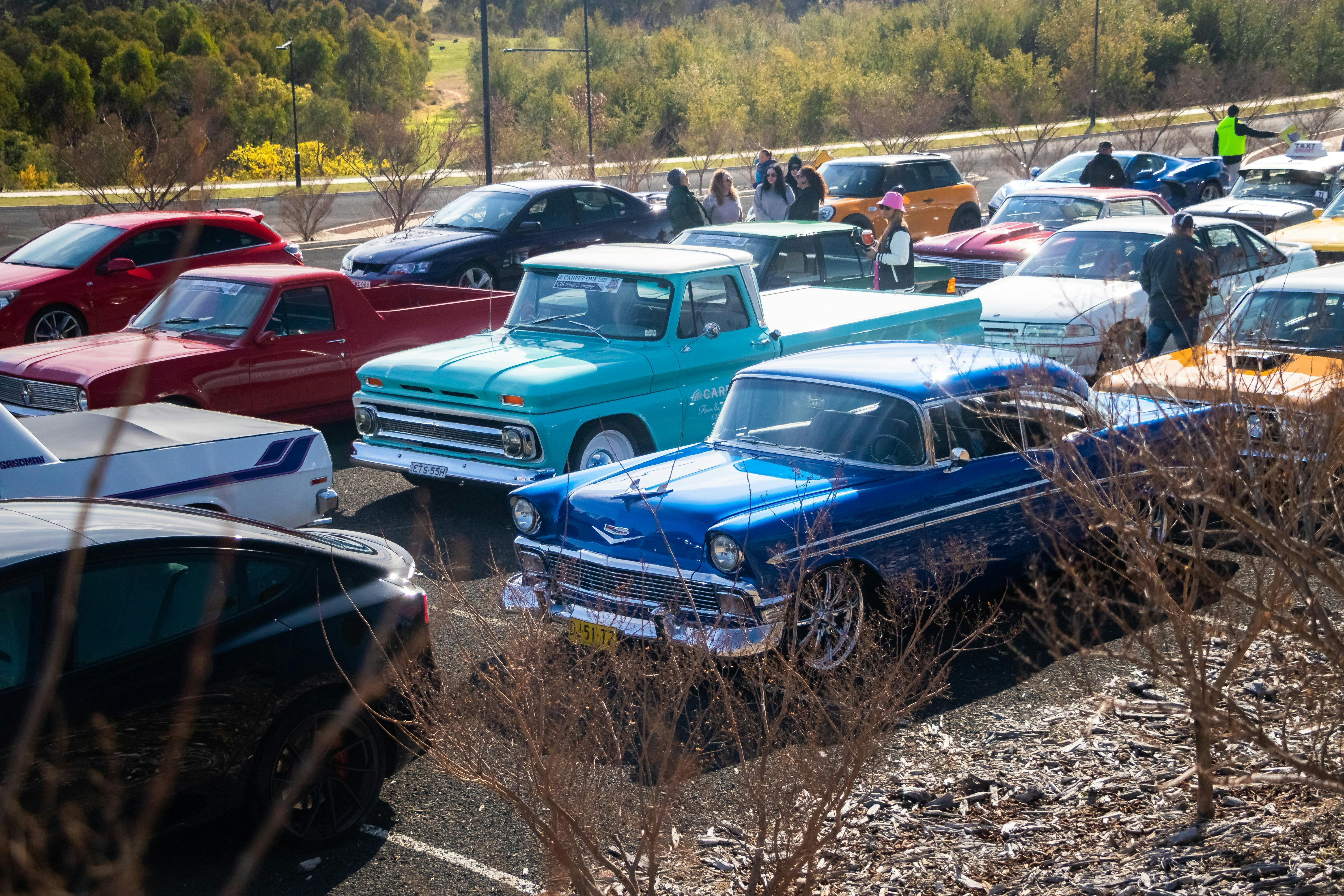 Classic cars parked in lines ready to drive in the Classic Cruise