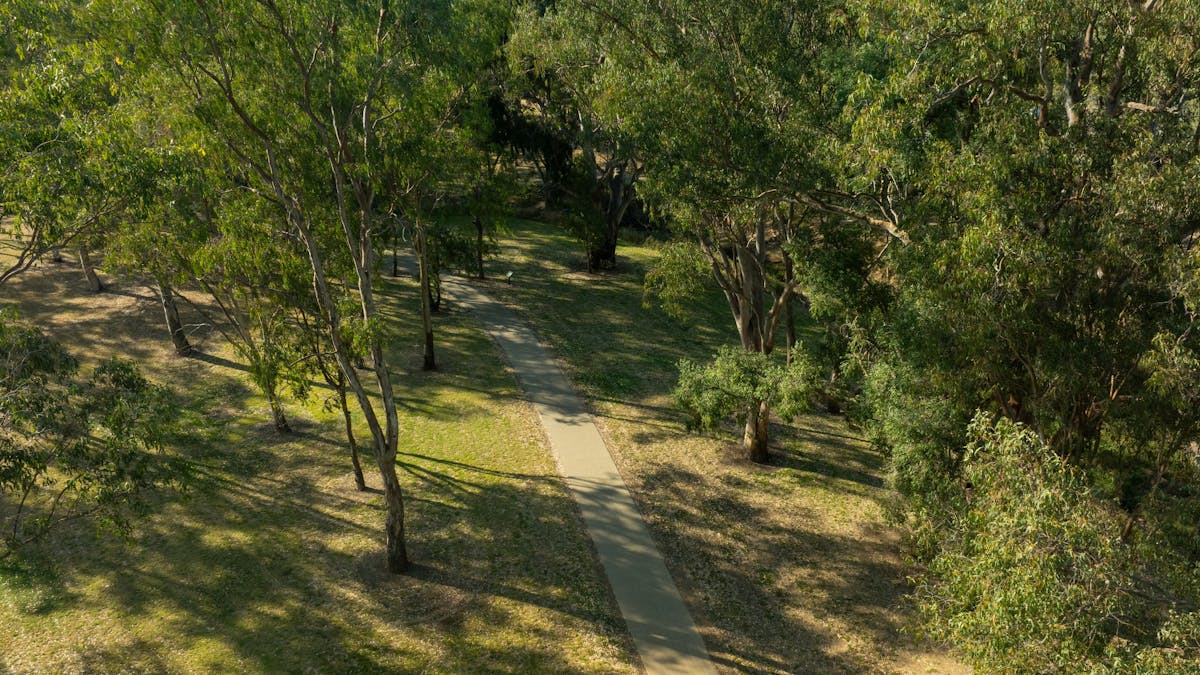 Aerial view of a cement pathway leading between trees