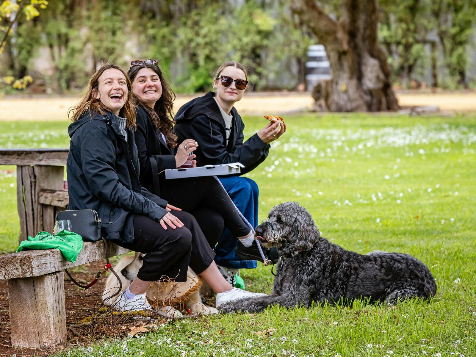 people eat pizza in park with dogs