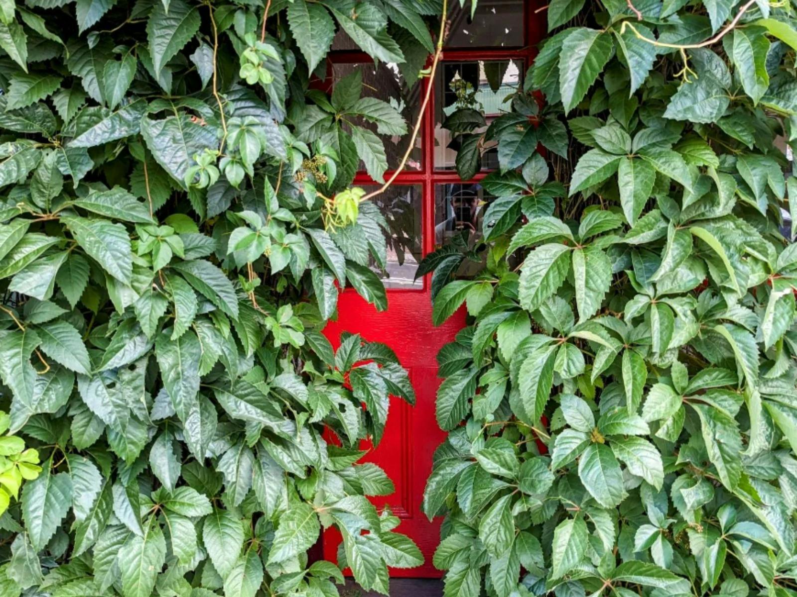 코치 하우스 콜렉티브 1