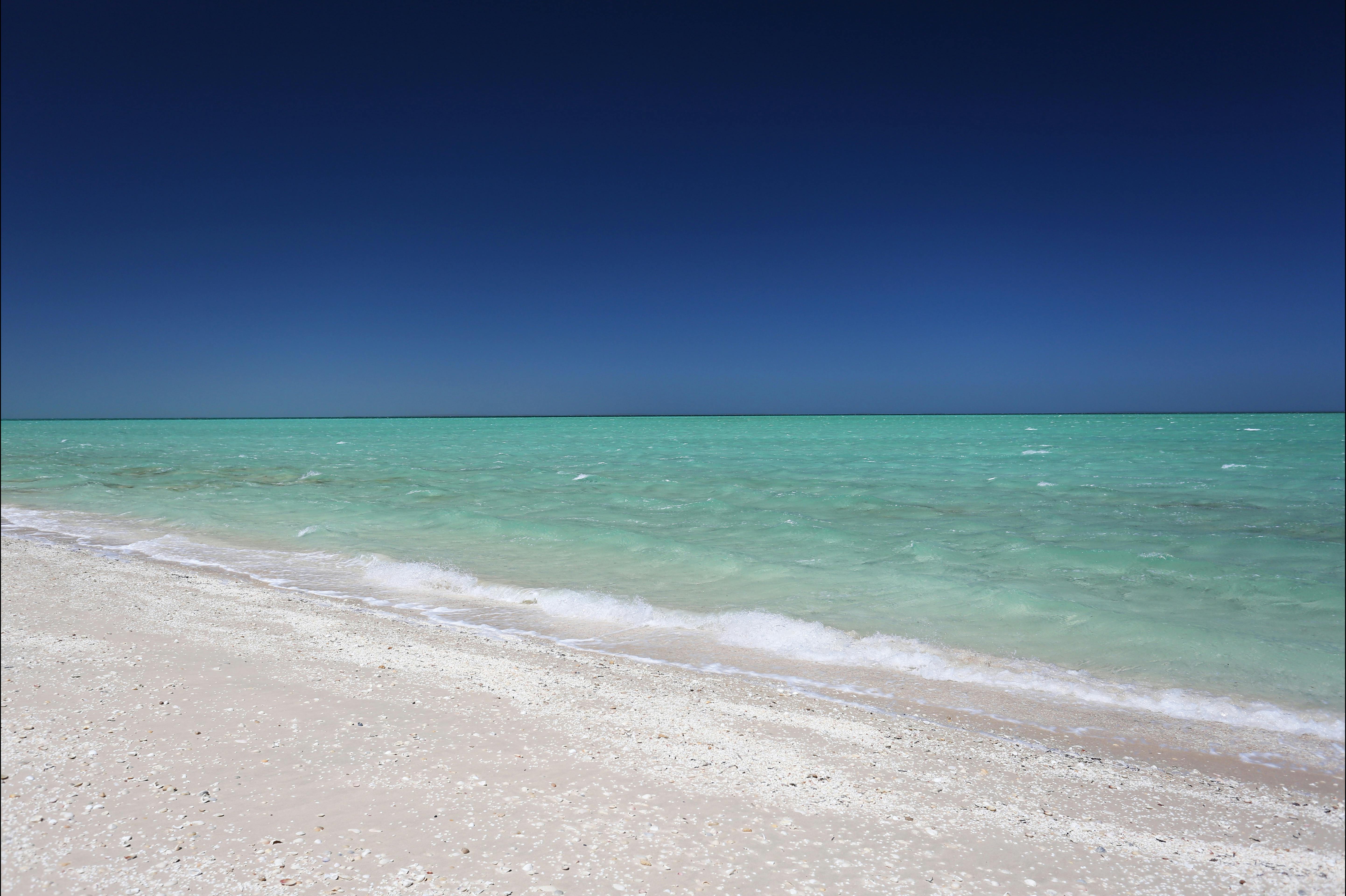 Shark Bay Coastal Tours, Denham, Western Australia