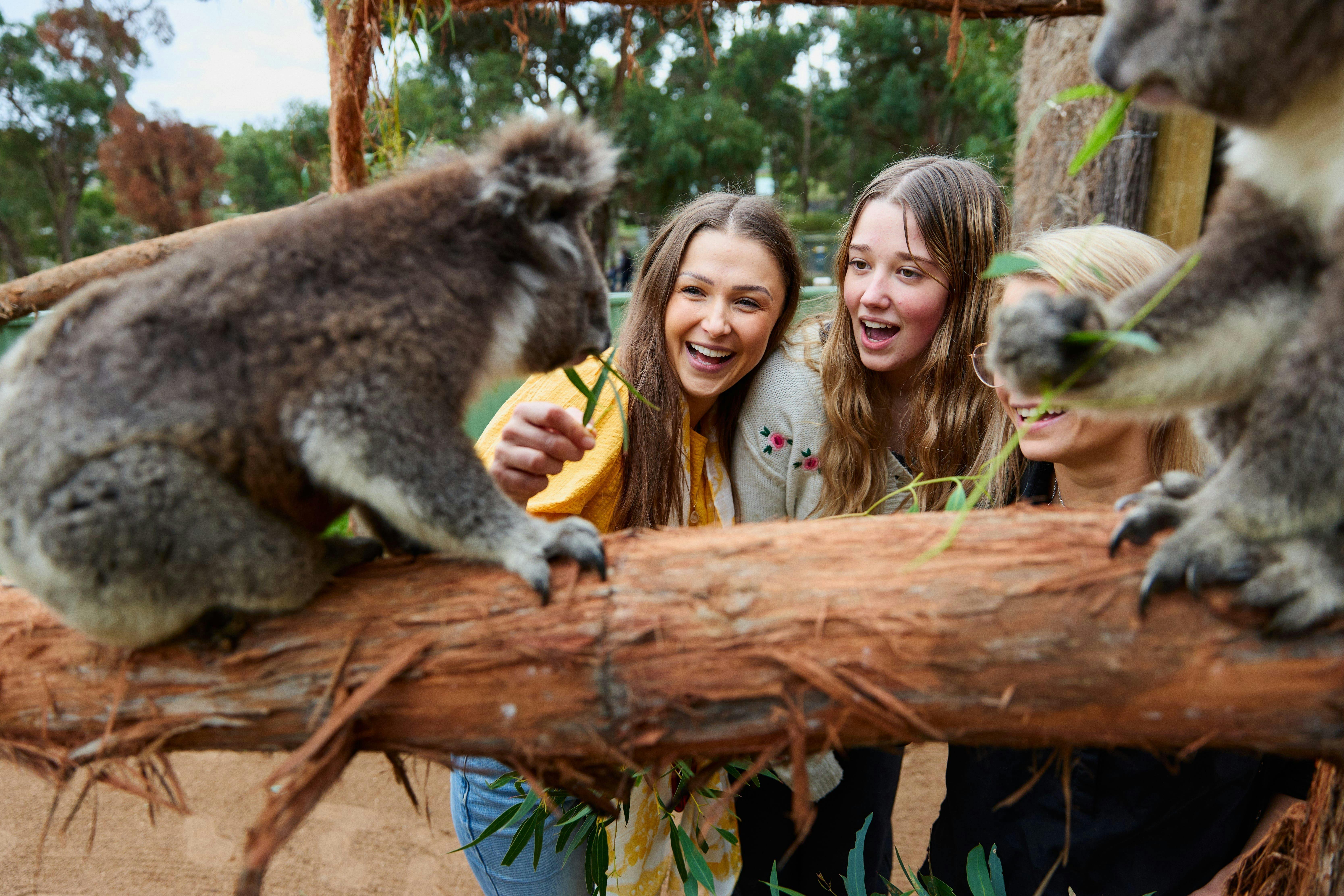 Gold City and Wildlife: A Ballarat and Sovereign Hill Day Trip