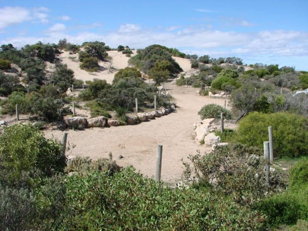 Tractor Beach Campground