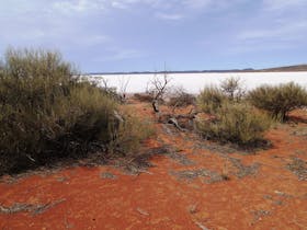 Lake Gairdner National Park