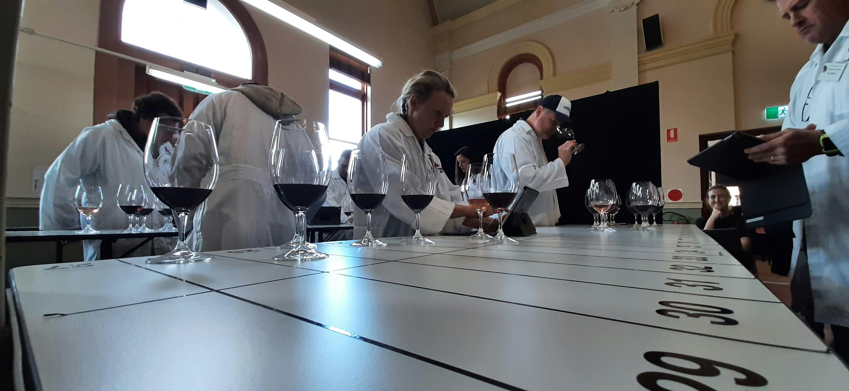 Wine Judges at Work
