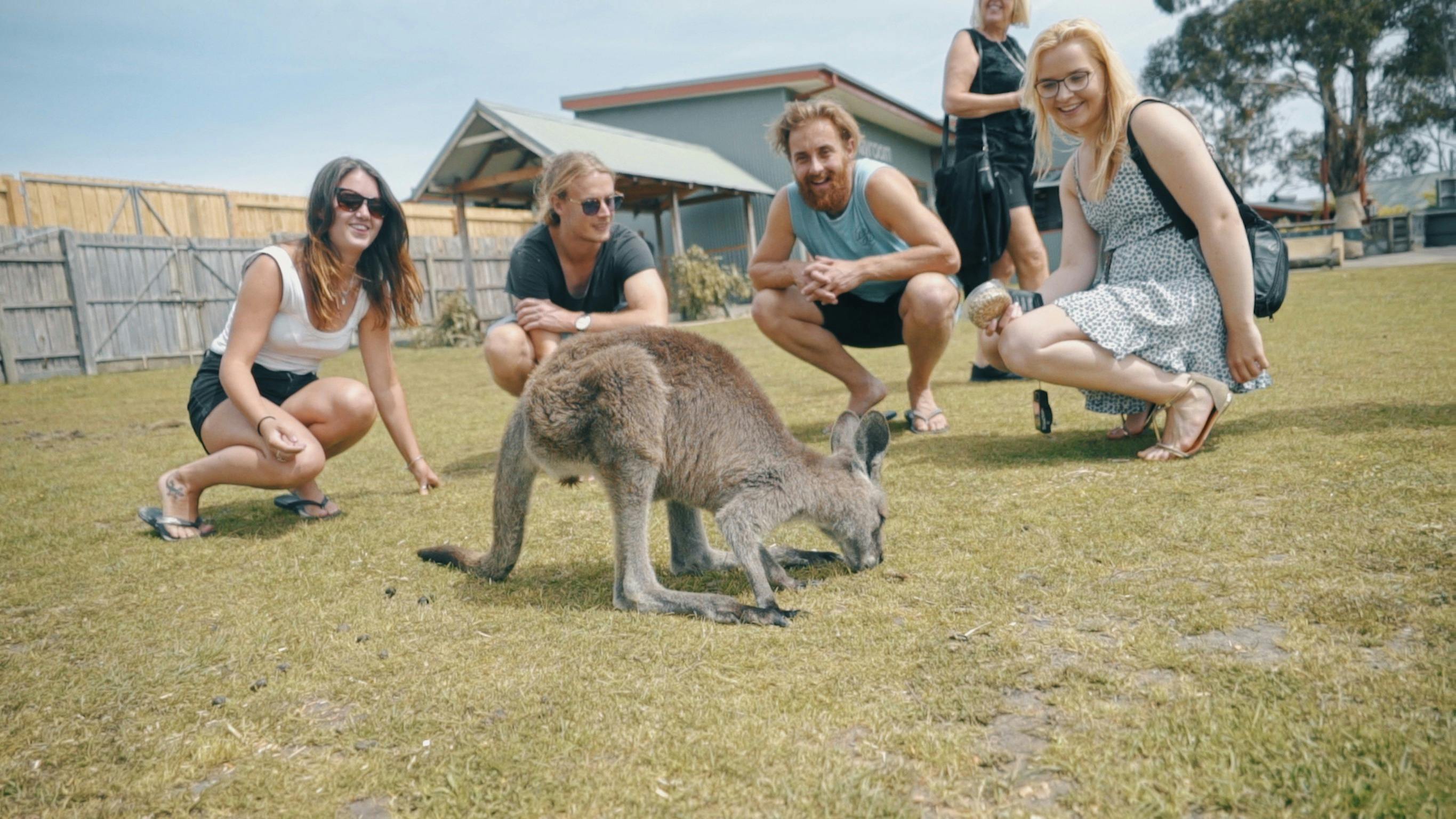 Wildlife Park Visit