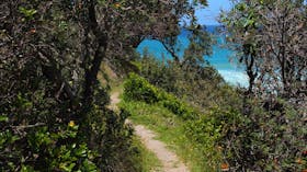 Wilsons Headland