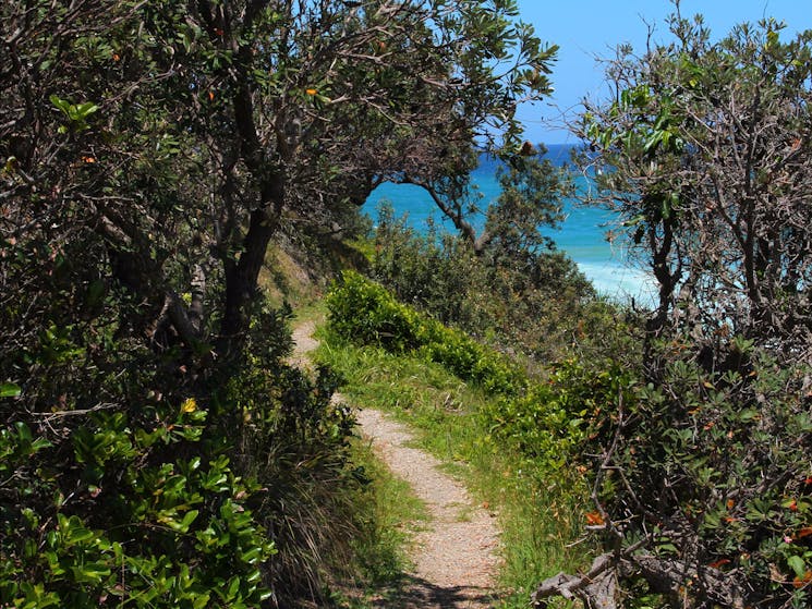 Honestly, the tracks around Wilson’s Headland are ridiculously pretty.