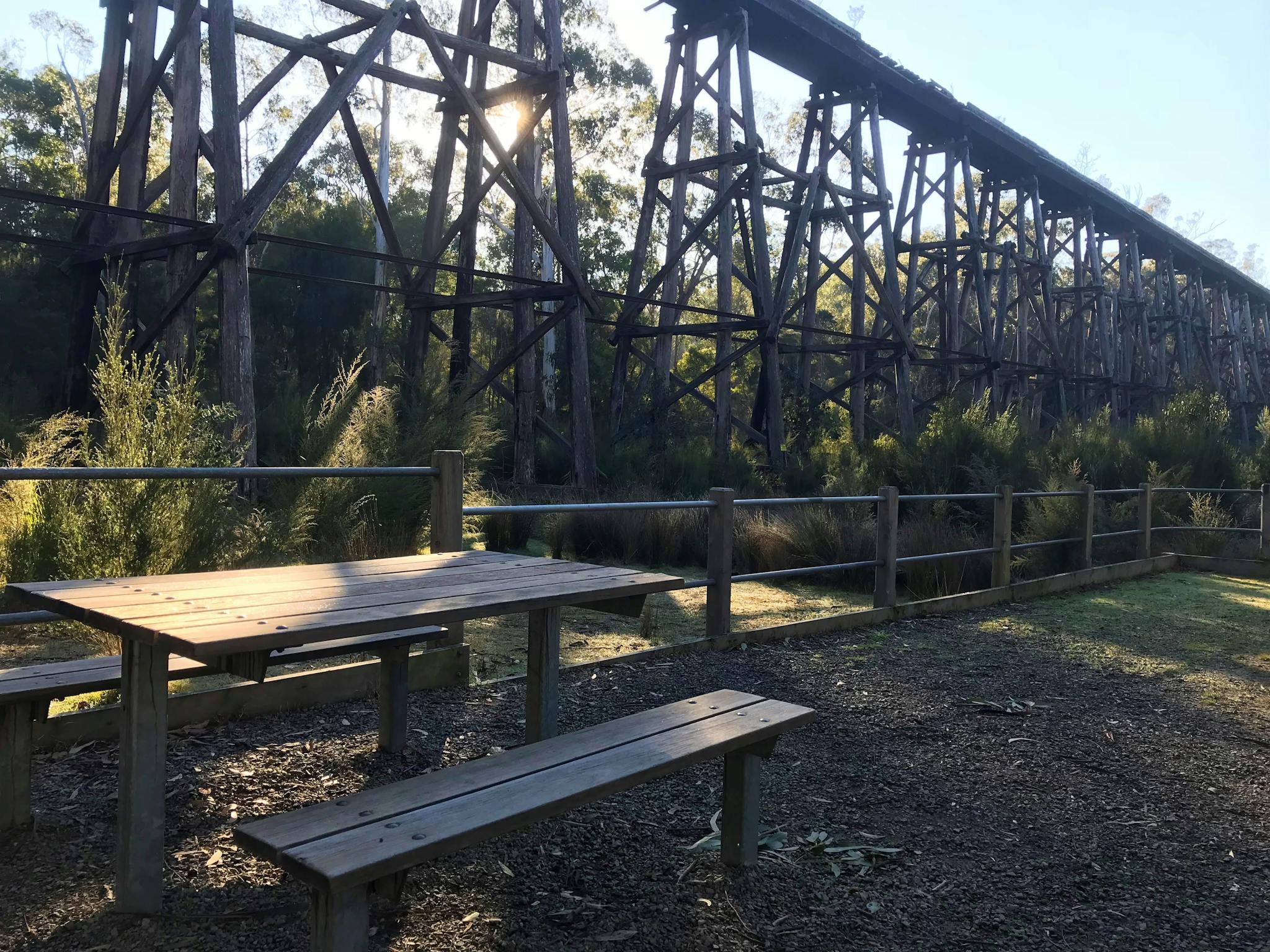 tall wooden bridge surrounded by forest
