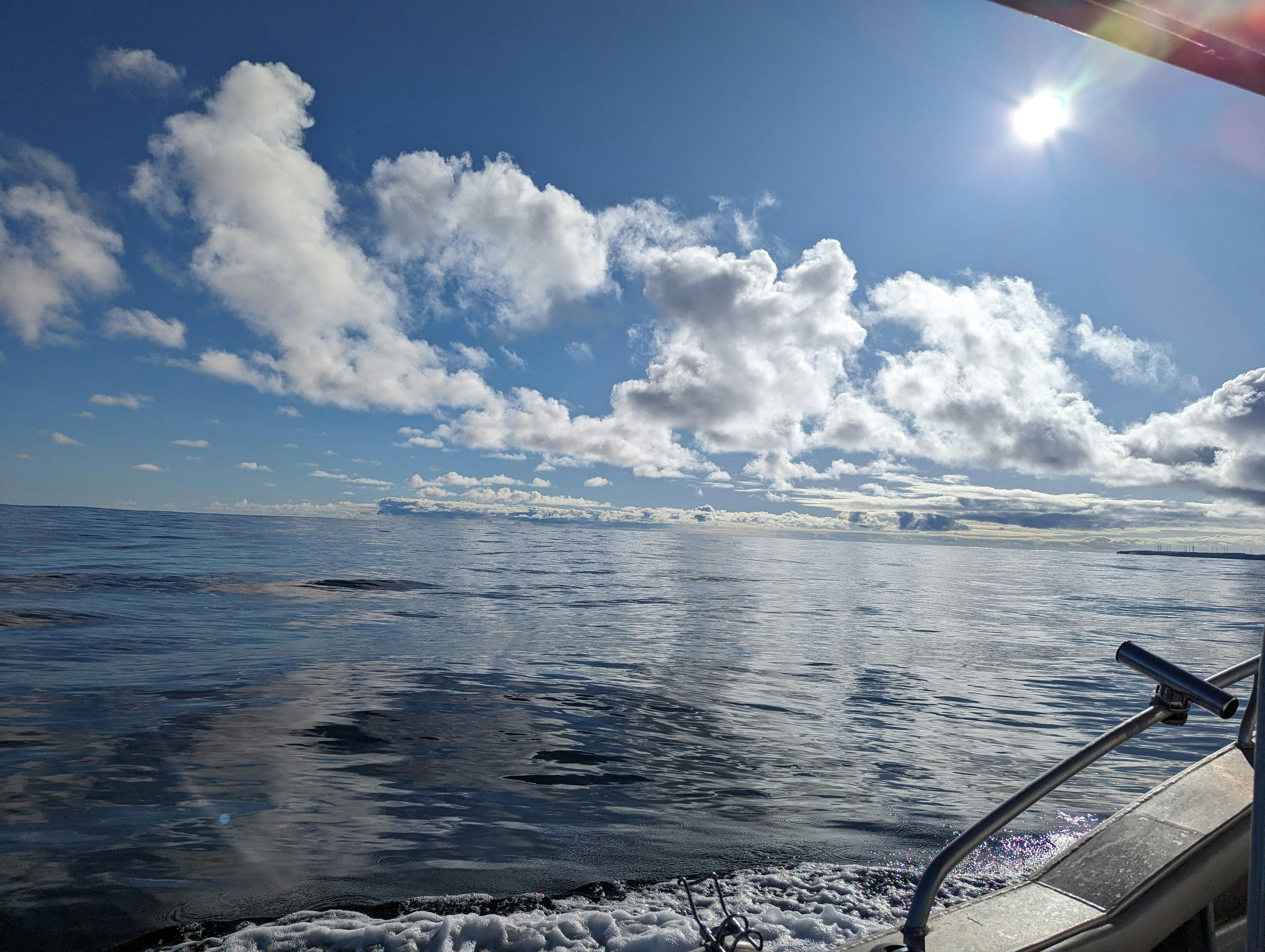 A journey into the heart of South Australia's pristine marine ecosystem