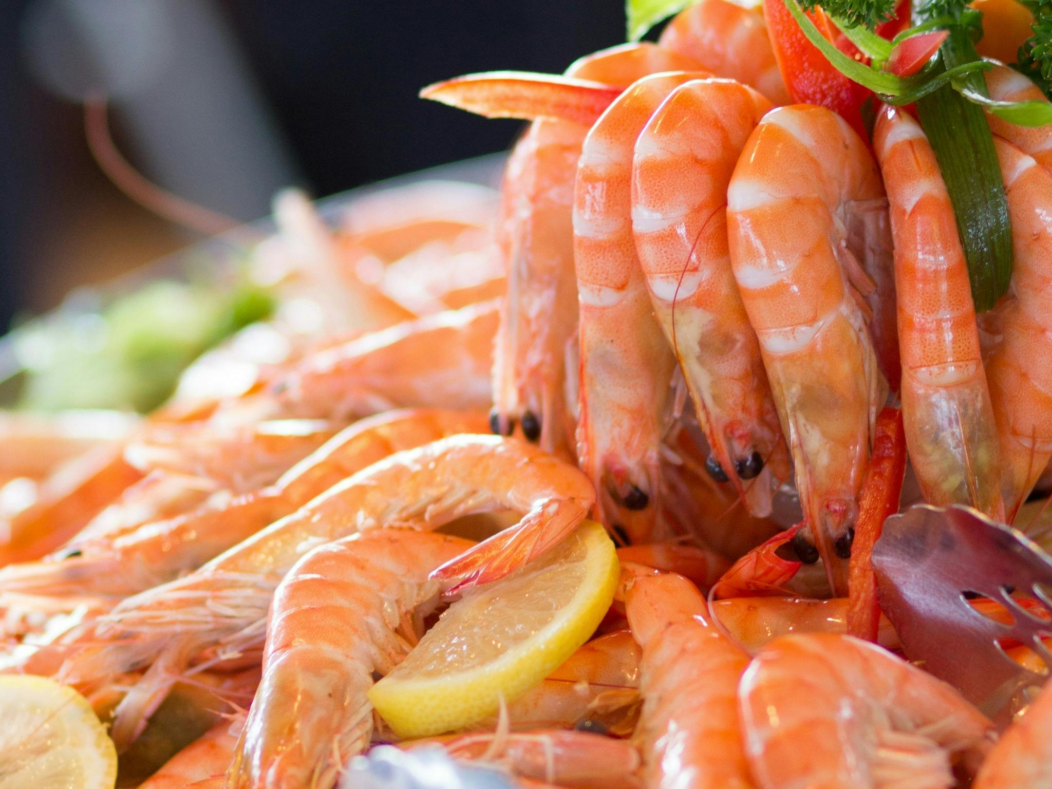 MV Vagabond Spirit New Year's Eve Dinner Cruise