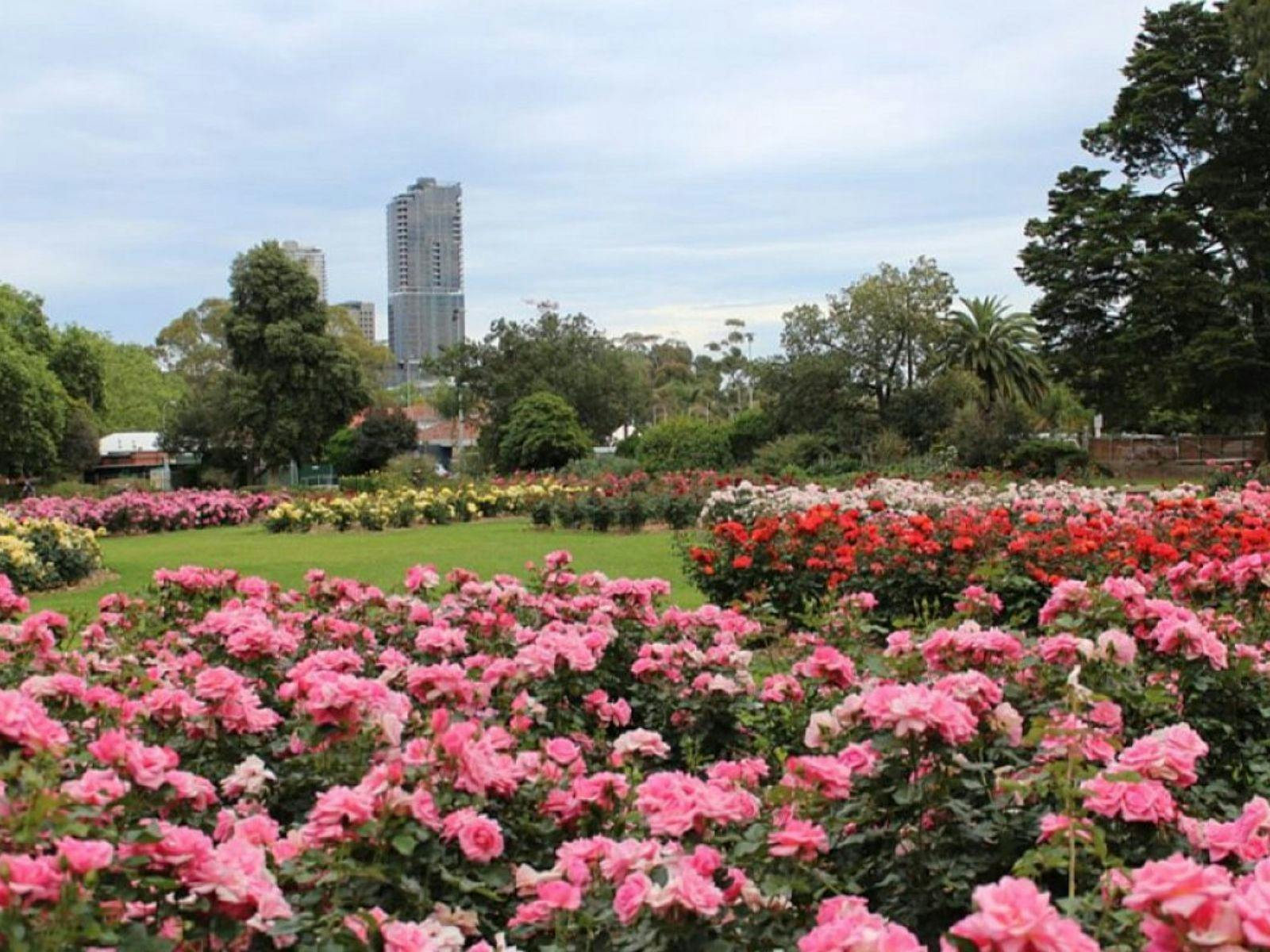 Rymill Park/Murlawirrapurka