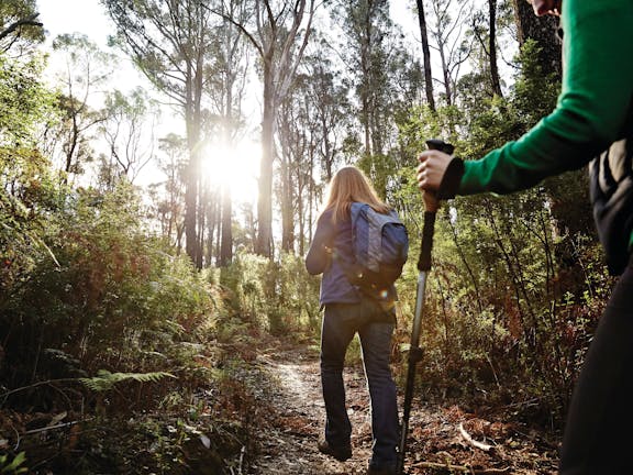 Kinglake National Park