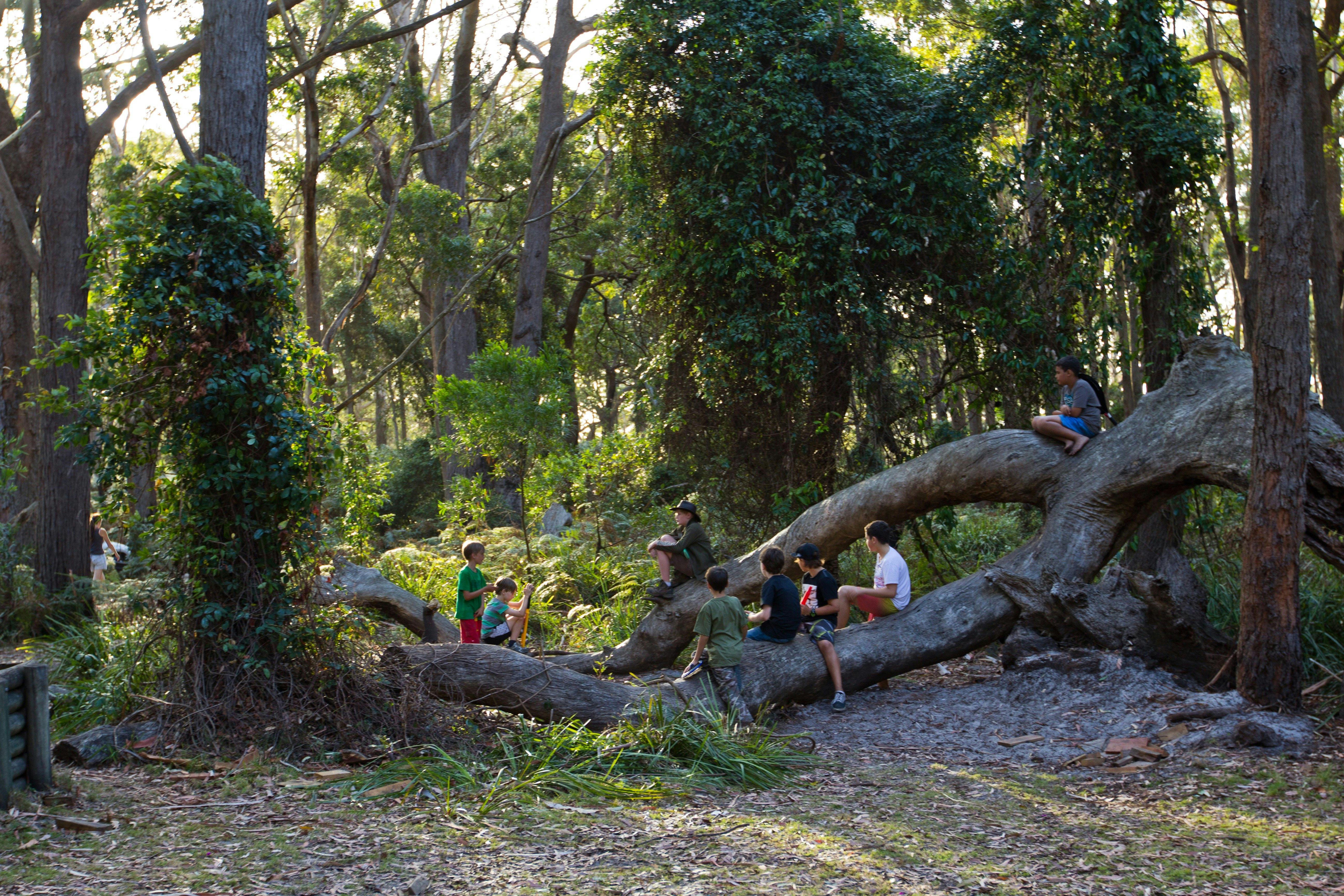 Bistrol Point campground, Booderee National Park