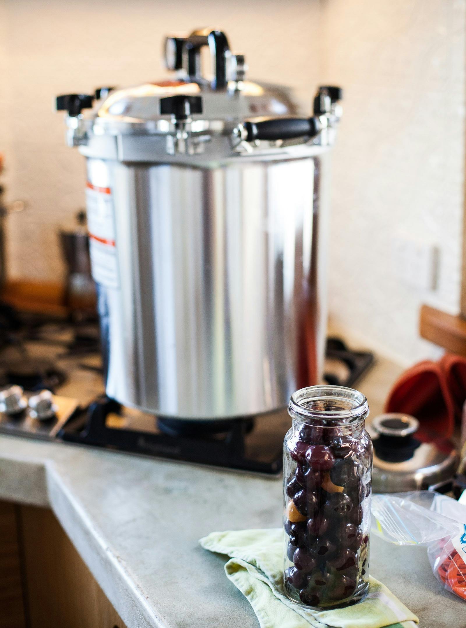 Fermenting, Drying and Preserving for Beginners