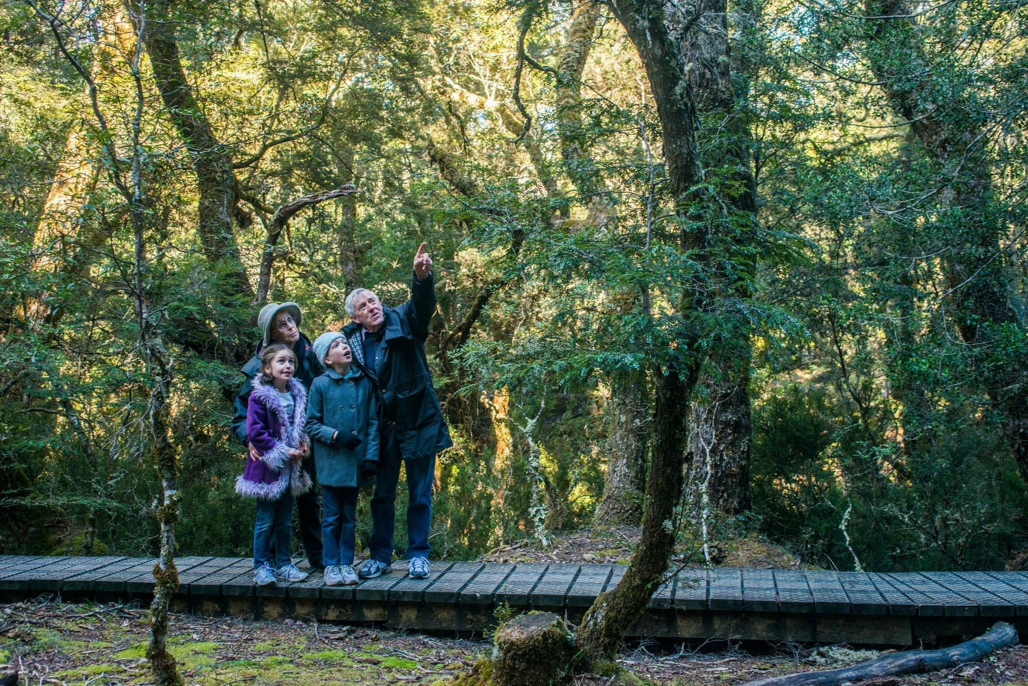 Walkers on the Enchanted Walk