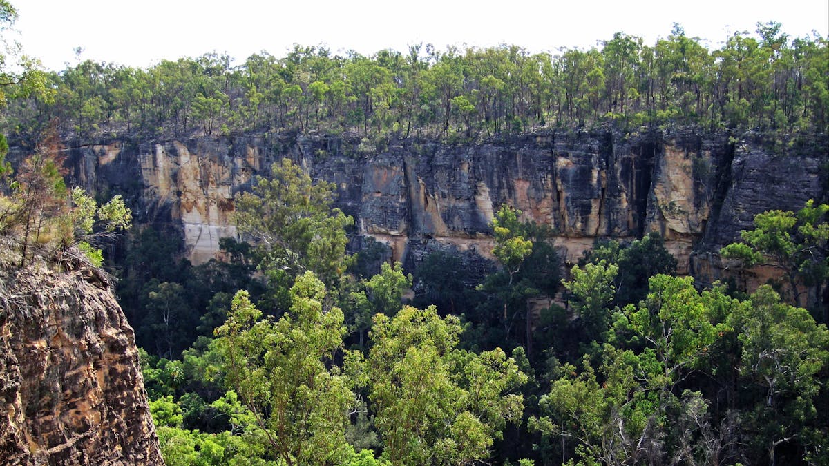 Starkvale, Expedition National Park