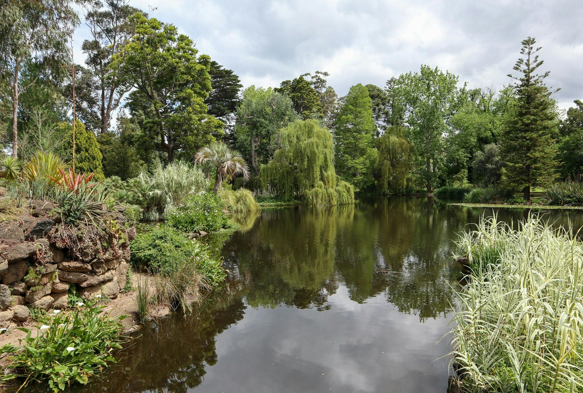 Significant Trees of Rippon Lea – Walking Tour
