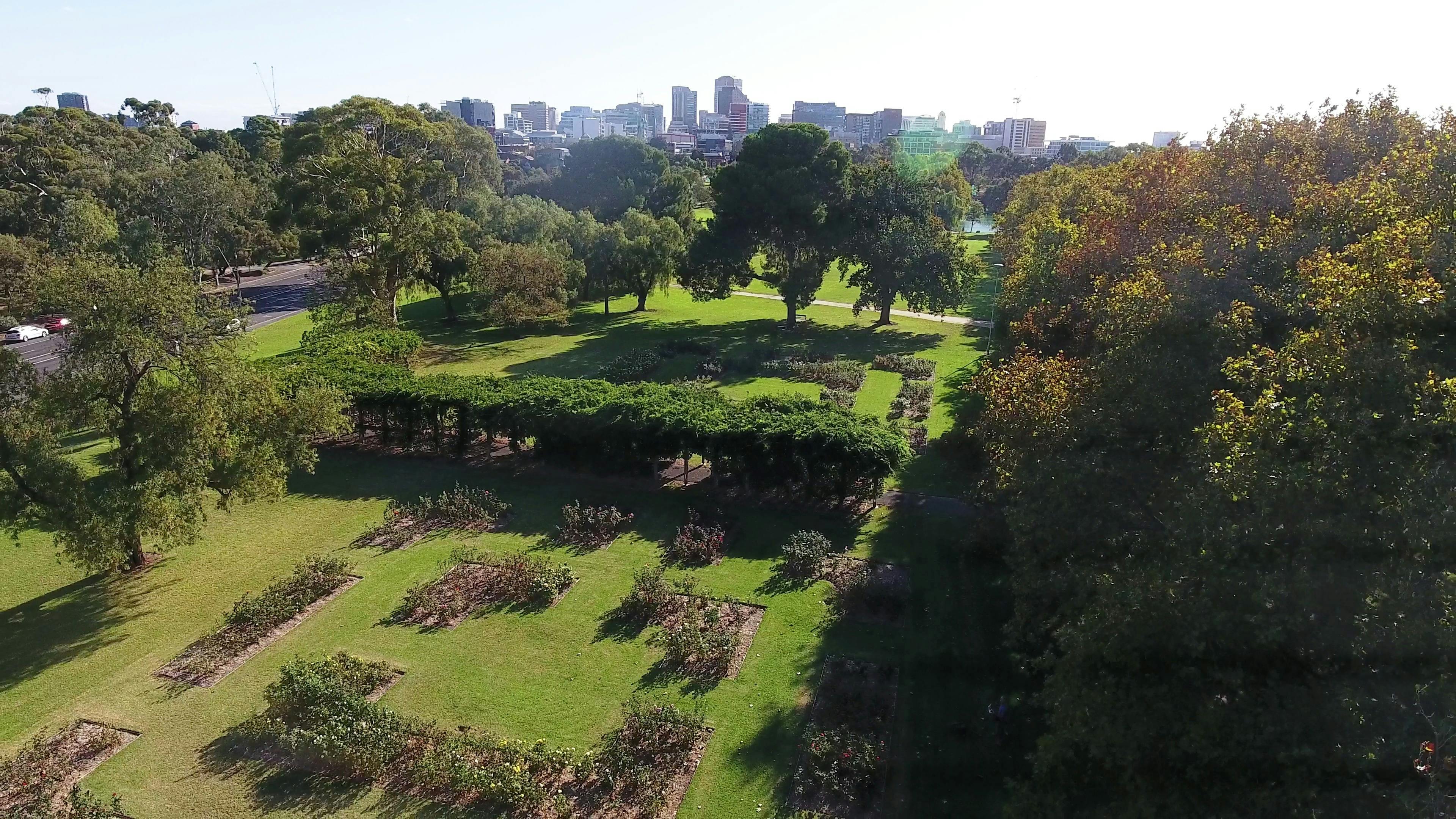Rymill Park / Murlawirrapurka (Park 14)